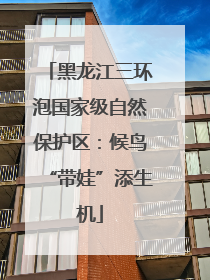 黑龙江三环泡国家级自然保护区：候鸟“带娃”添生机