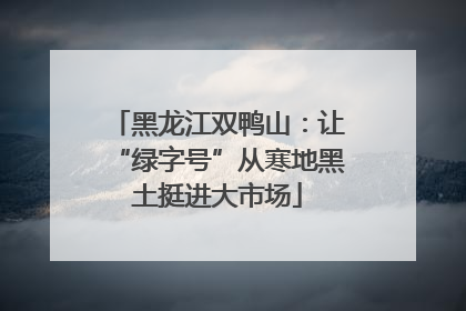黑龙江双鸭山：让“绿字号”从寒地黑土挺进大市场