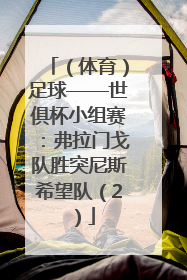 （体育）足球——世俱杯小组赛：弗拉门戈队胜突尼斯希望队（2）