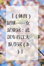 （体育）足球——女足亚冠：武汉车谷江大队夺冠（3）
