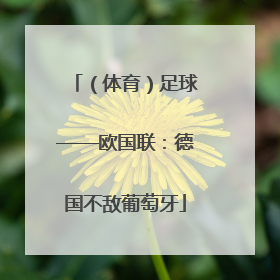（体育）足球——欧国联：德国不敌葡萄牙