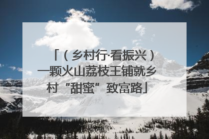（乡村行·看振兴）一颗火山荔枝王铺就乡村“甜蜜”致富路