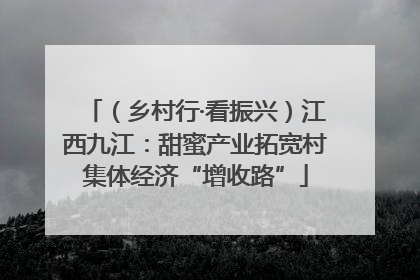 （乡村行·看振兴）江西九江：甜蜜产业拓宽村集体经济“增收路”