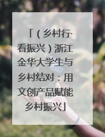 （乡村行·看振兴）浙江金华大学生与乡村结对：用文创产品赋能乡村振兴