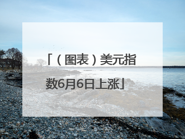 （图表）美元指数6月6日上涨