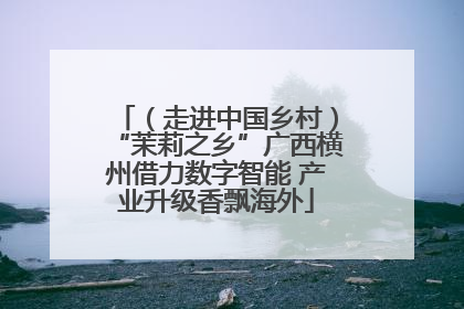 （走进中国乡村）“茉莉之乡”广西横州借力数字智能 产业升级香飘海外