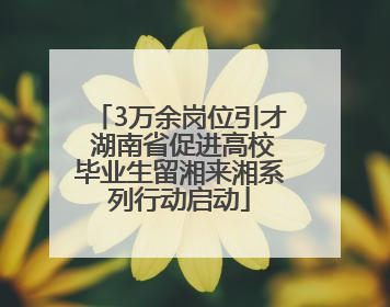 3万余岗位引才 湖南省促进高校毕业生留湘来湘系列行动启动
