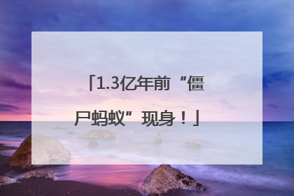 1.3亿年前“僵尸蚂蚁”现身！