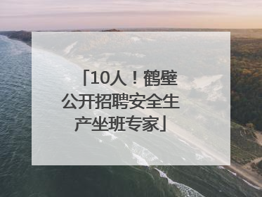 10人！鹤壁公开招聘安全生产坐班专家