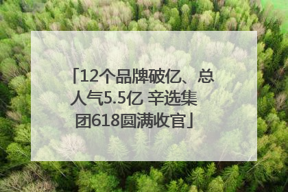 12个品牌破亿、总人气5.5亿 辛选集团618圆满收官