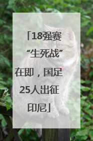18强赛“生死战”在即，国足25人出征印尼