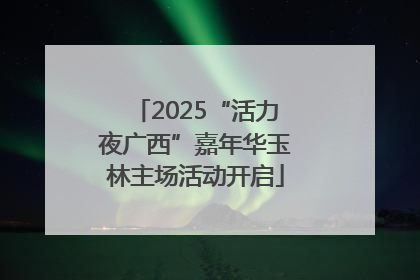 2025“活力夜广西”嘉年华玉林主场活动开启