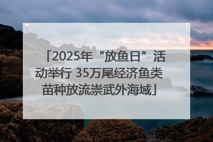 2025年“放鱼日”活动举行 35万尾经济鱼类苗种放流崇武外海域