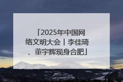 2025年中国网络文明大会丨李佳琦、董宇辉现身合肥
