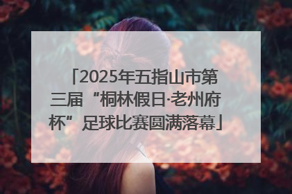 2025年五指山市第三届“桐林假日·老州府杯”足球比赛圆满落幕
