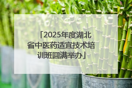 2025年度湖北省中医药适宜技术培训班圆满举办