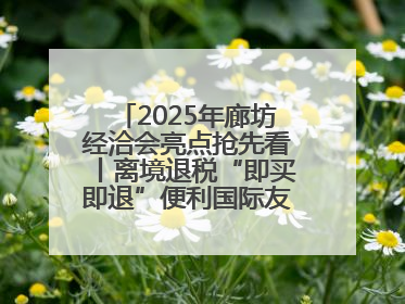 2025年廊坊经洽会亮点抢先看丨离境退税“即买即退”便利国际友人“买买买”