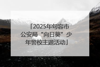 2025年句容市公安局“向日葵”少年警校主题活动