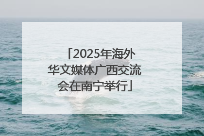 2025年海外华文媒体广西交流会在南宁举行