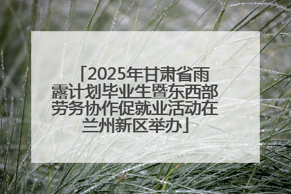 2025年甘肃省雨露计划毕业生暨东西部劳务协作促就业活动在兰州新区举办