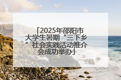 2025年邵阳市大学生暑期“三下乡”社会实践活动推介会成功举办