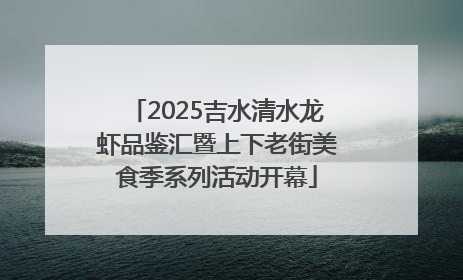 2025吉水清水龙虾品鉴汇暨上下老街美食季系列活动开幕