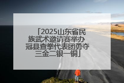 2025山东省民族武术邀请赛举办 冠县查拳代表团勇夺三金二银一铜
