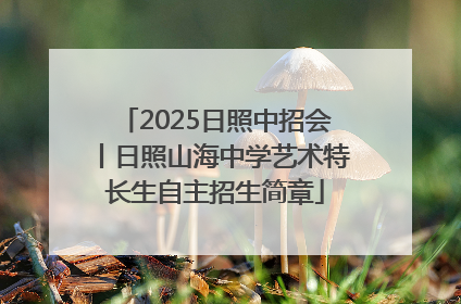 2025日照中招会丨日照山海中学艺术特长生自主招生简章