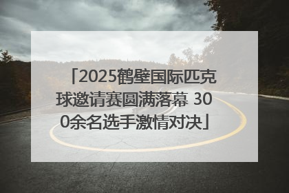 2025鹤壁国际匹克球邀请赛圆满落幕 300余名选手激情对决