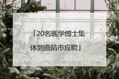 20名医学博士集体到曲靖市应聘