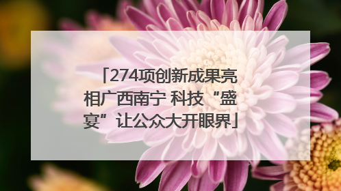 274项创新成果亮相广西南宁 科技“盛宴”让公众大开眼界