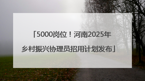 5000岗位！河南2025年乡村振兴协理员招用计划发布