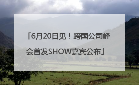 6月20日见！跨国公司峰会首发SHOW嘉宾公布