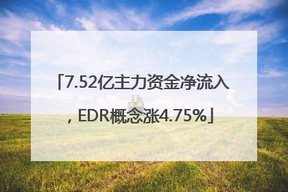 7.52亿主力资金净流入，EDR概念涨4.75%