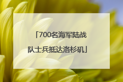 700名海军陆战队士兵抵达洛杉矶