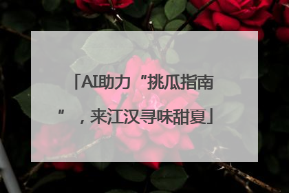 AI助力“挑瓜指南”，来江汉寻味甜夏